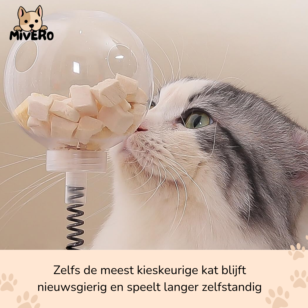 Meowtion - Houdt katten speels en nieuwsgierig