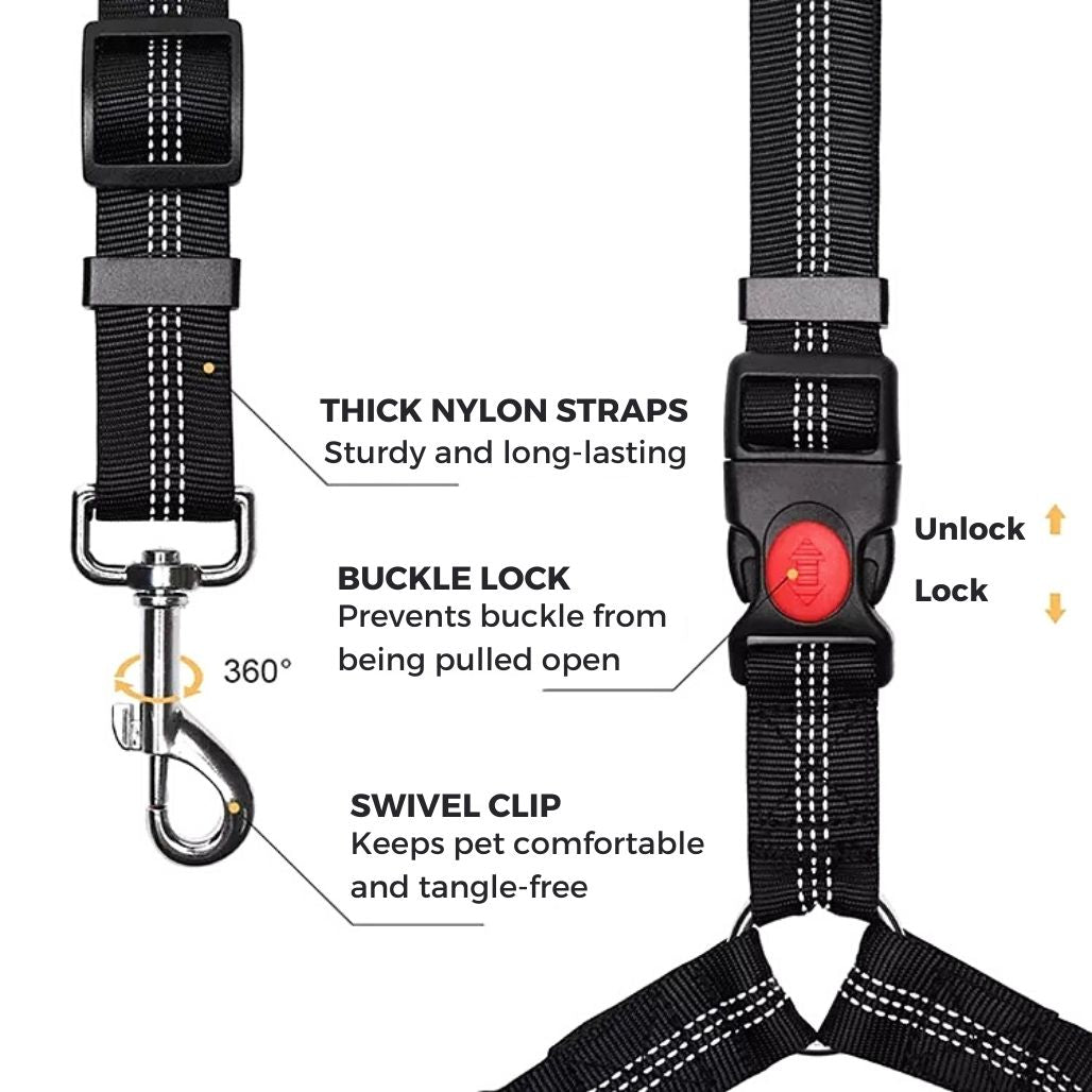 2-in-1 Huisdierstoelriem en -riem - LeashBelt™