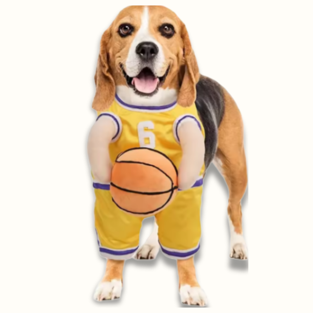 DunkinDog - Maak jouw hond een ster!