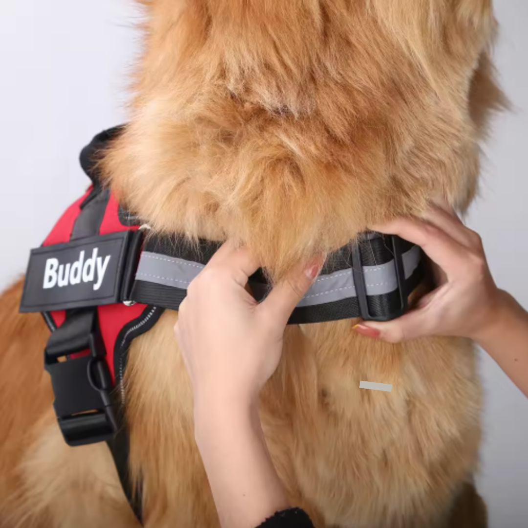 PawGuard - Gepersonaliseerd Hondentuigje