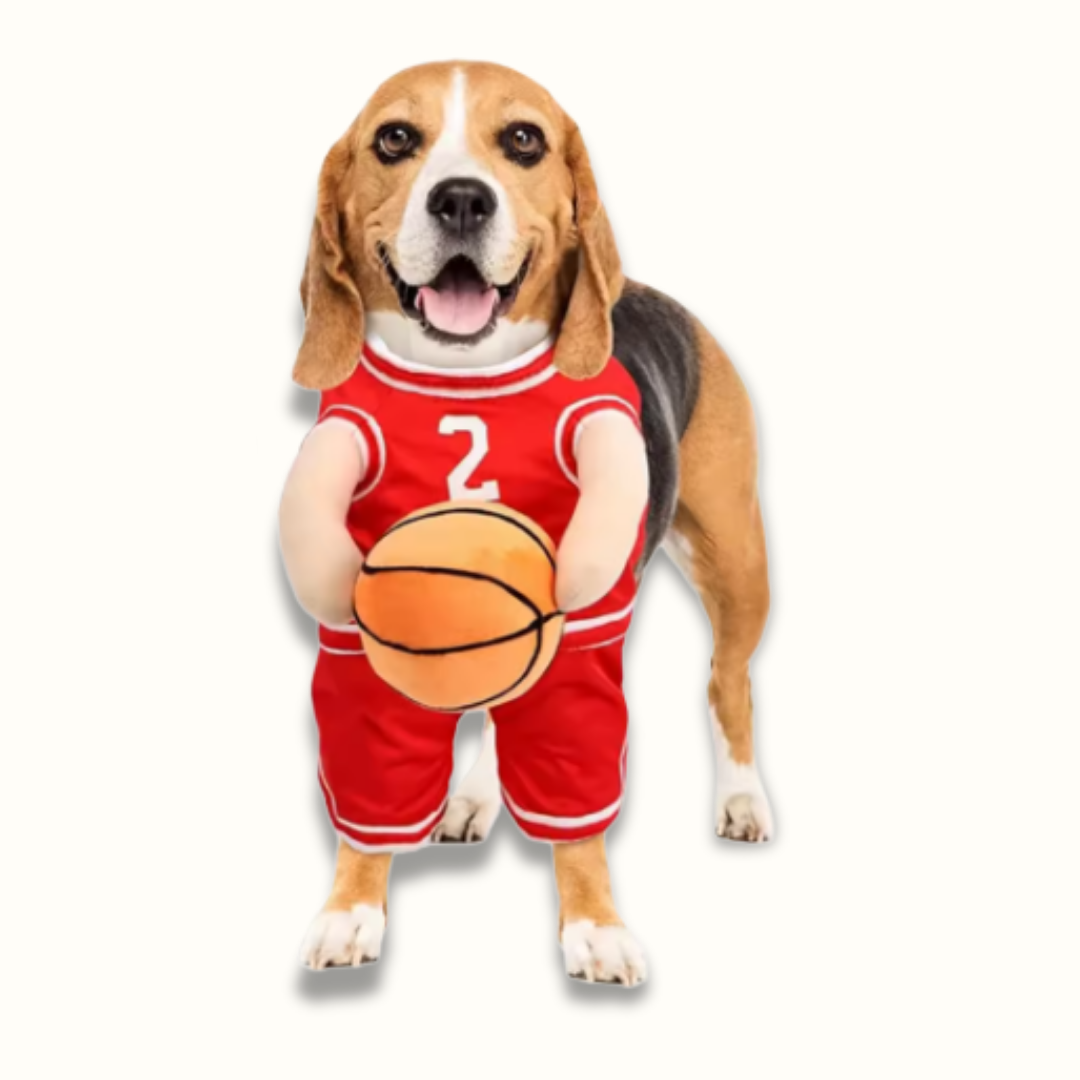 DunkinDog - Maak jouw hond een ster!