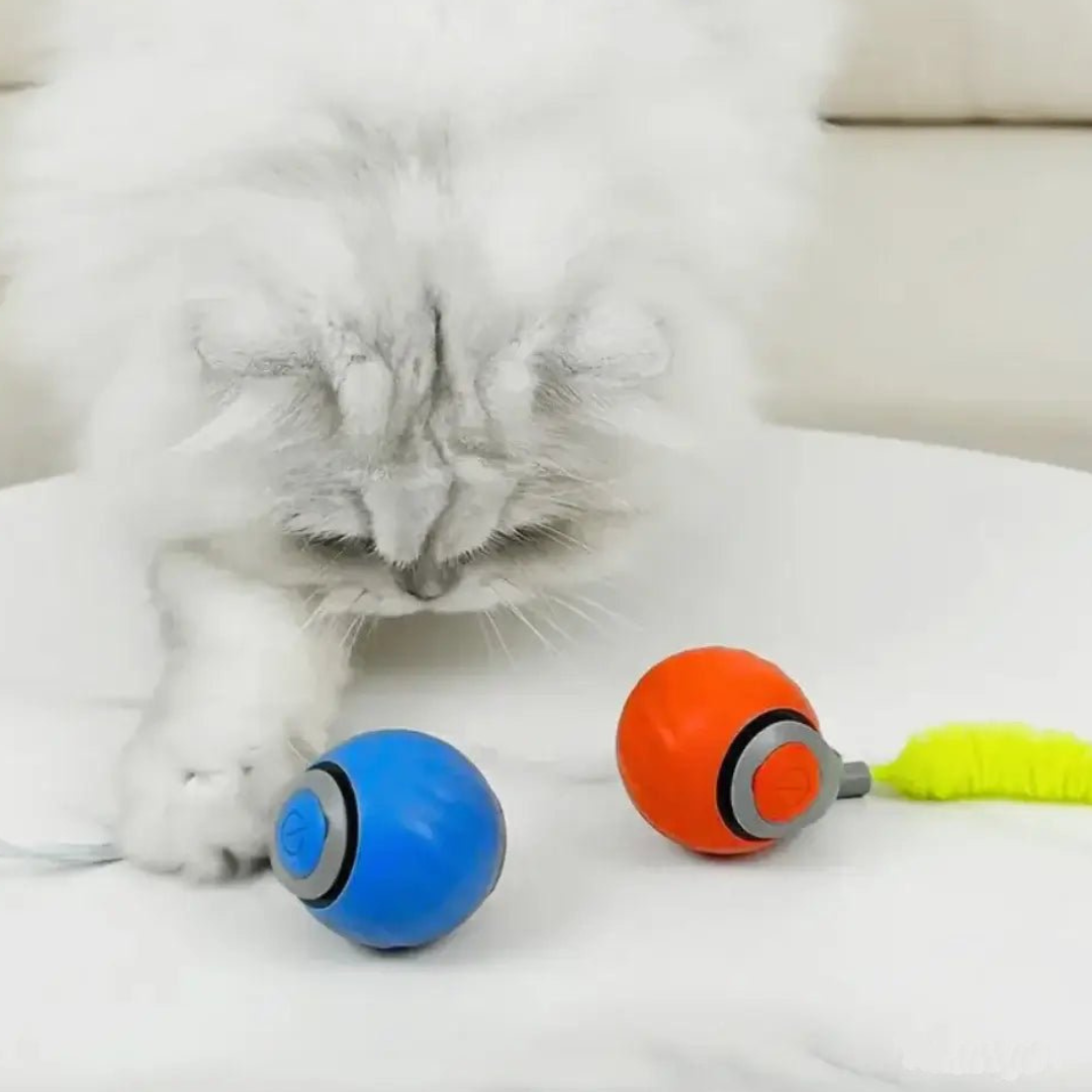 Zoomball 2.0 - Houdt katten actief en speels