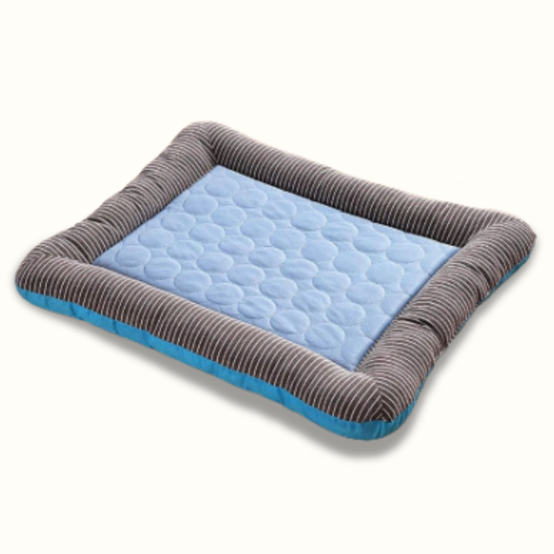 CoolPaw Premium - Bescherm je hond tegen de zomerse hitte!
