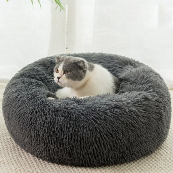 De Originele Gezellige Kattenmandâ˘