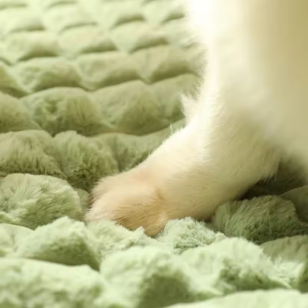 Pet Bed | Warme, wasbare sofa voor kleine en middelgrote honden en katten