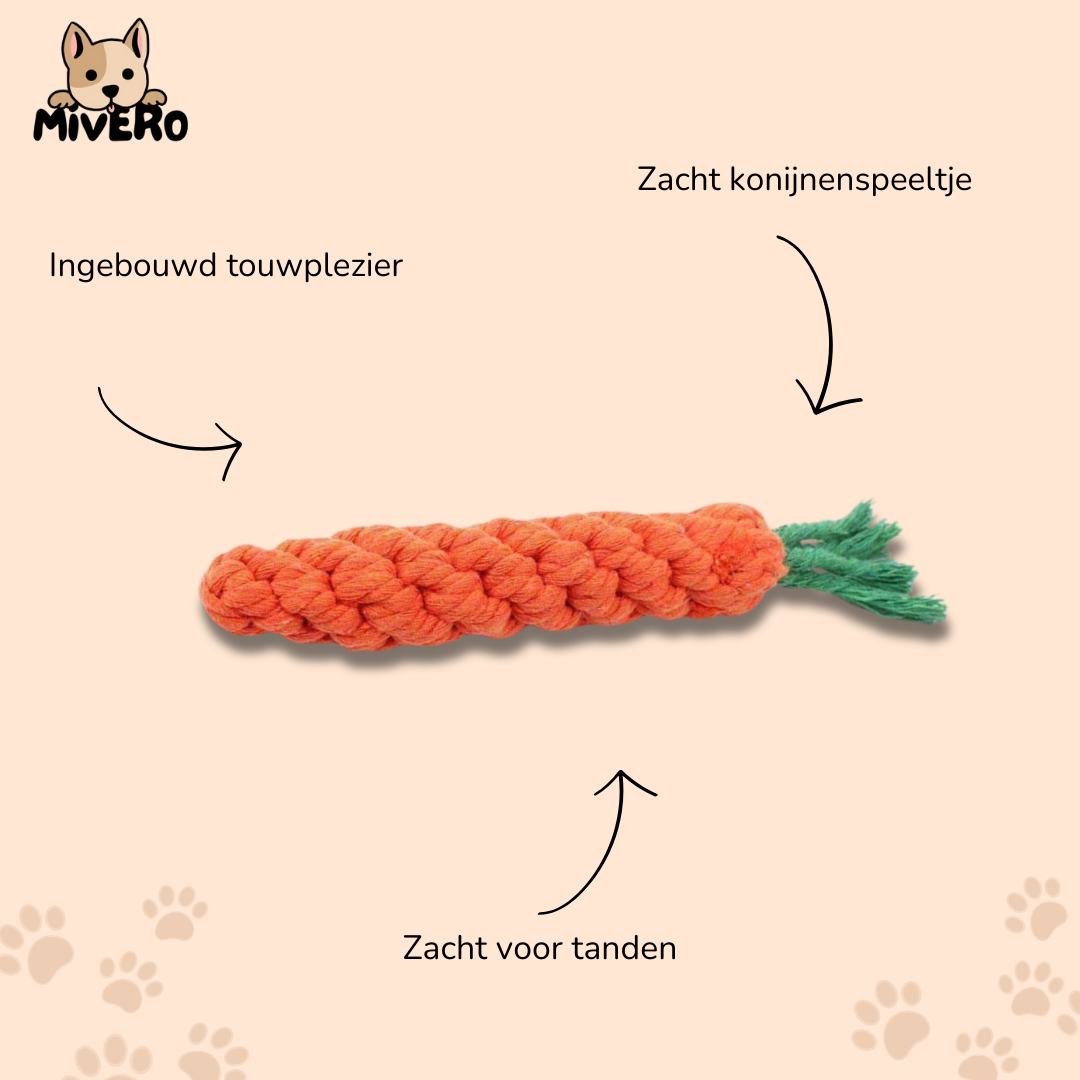 Tandly - Flossend Invriesbaar Hondenspeeltje