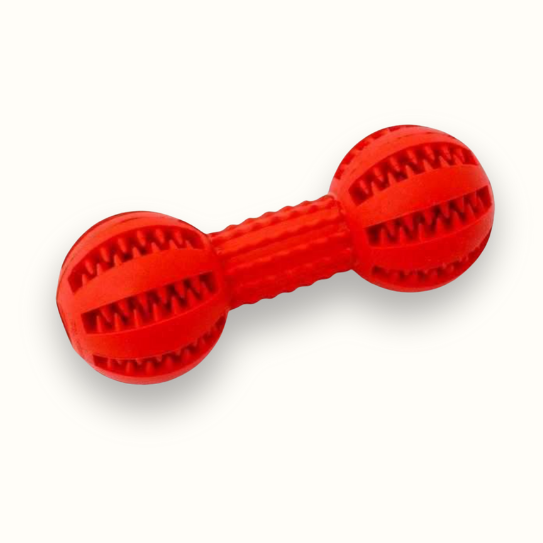 ChompIQ - Interactieve Tandverzorgende Halter