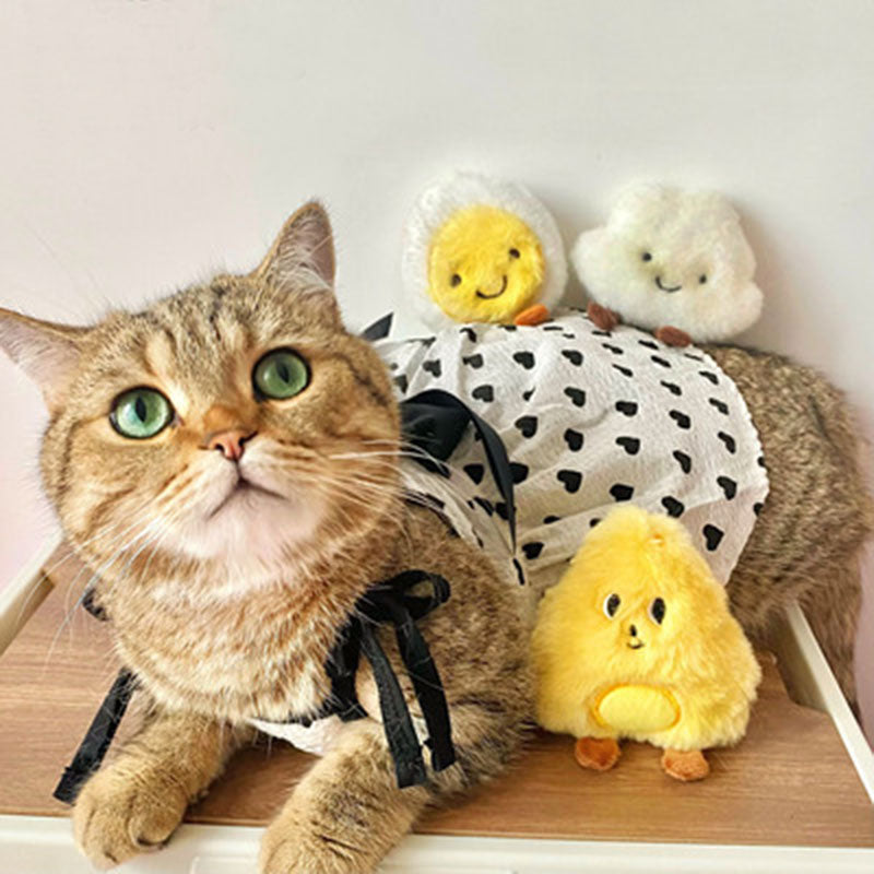 Pluchen Schattige Katten Speelgoed Set