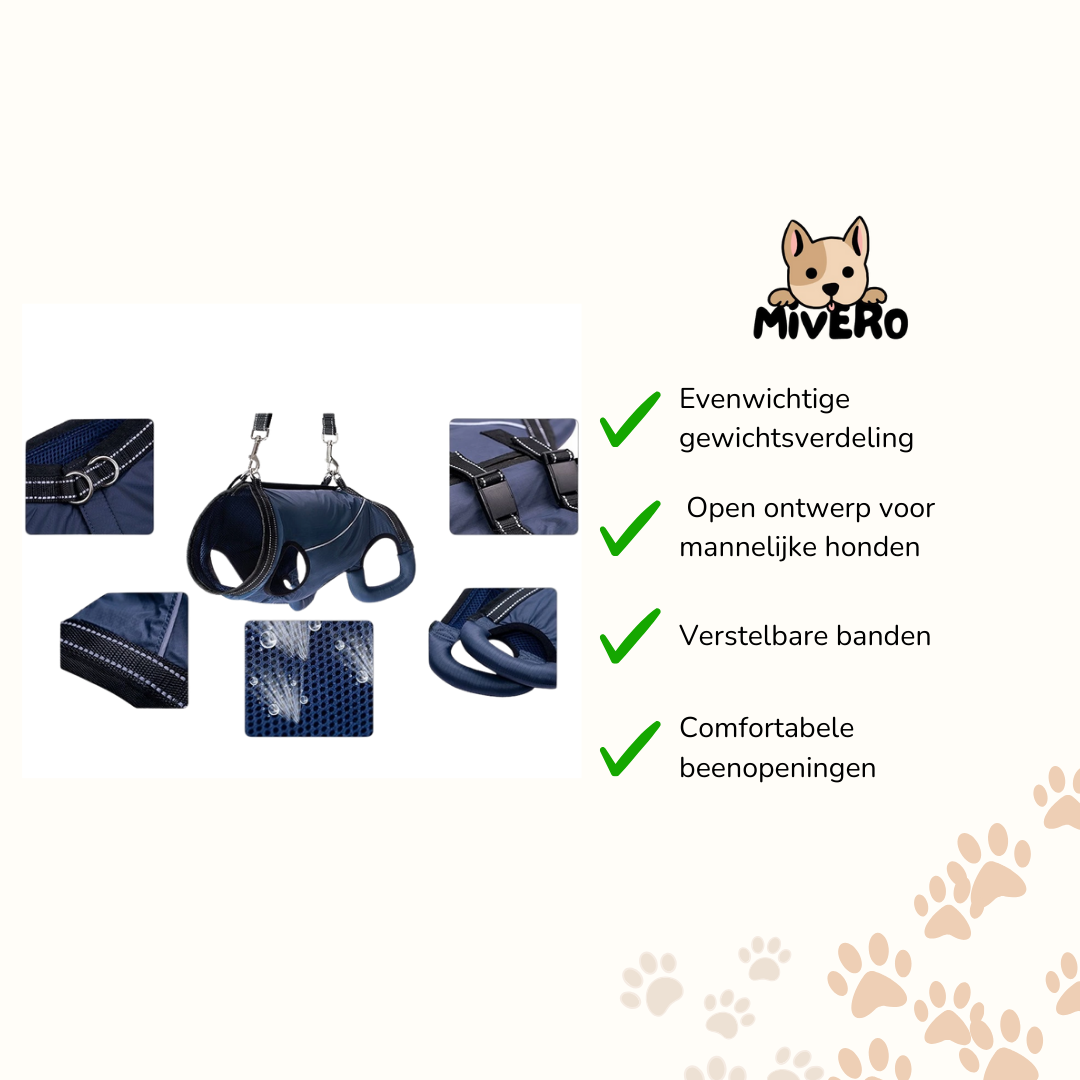 PawLift - Ondersteunend Tilharnas Hond