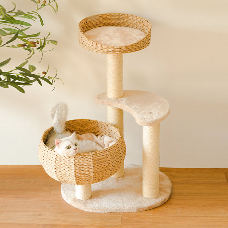 Gezellige kattenboom met slaperige kom
