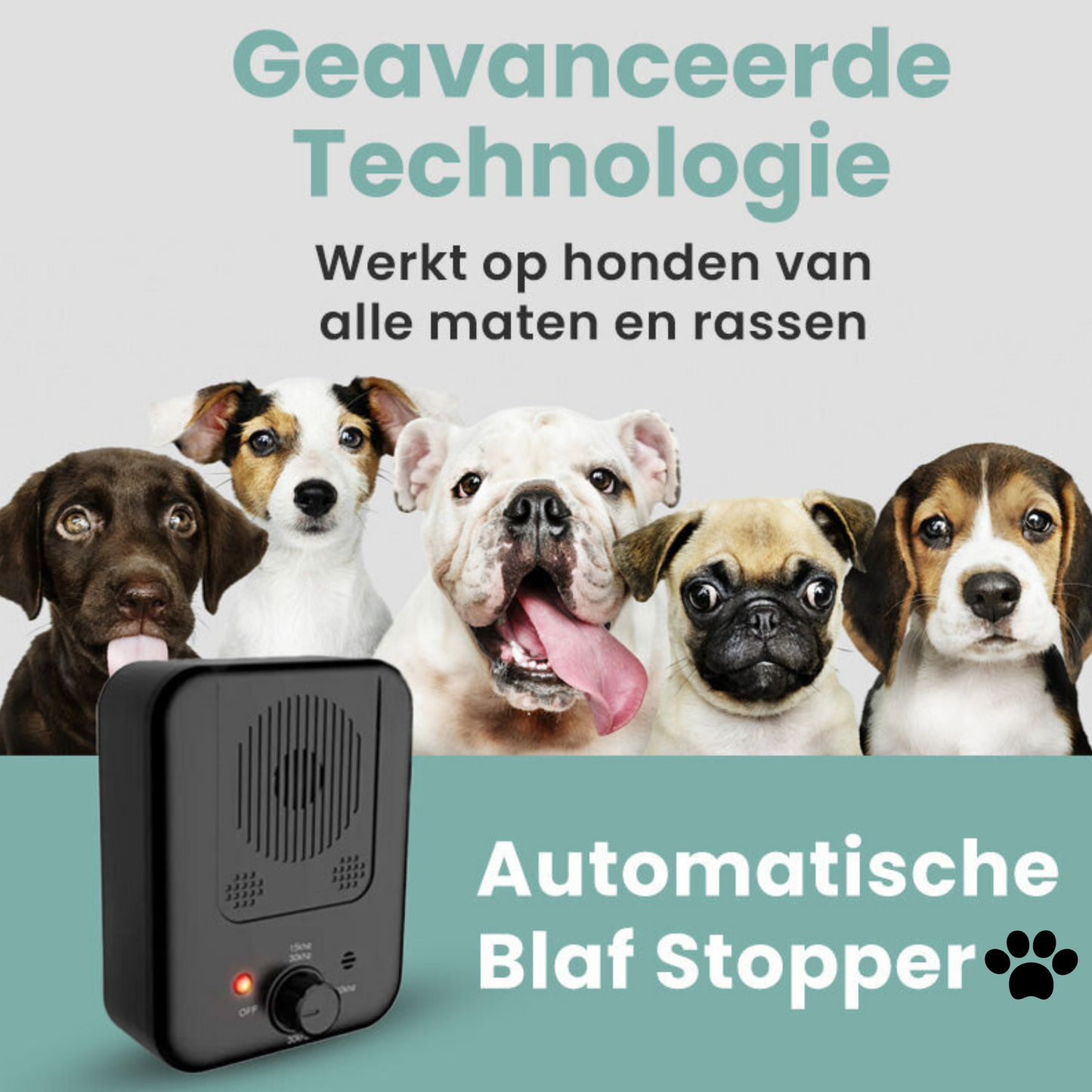 BlafMaatje | Auto-Blaf Stopper