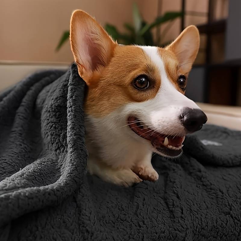 UltraZachte Pluche Fleece Honden Deken