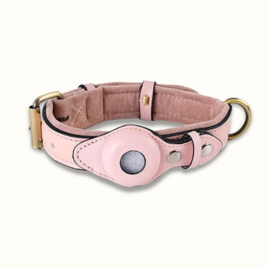 Tracky - Raak je hond nooit meer kwijt!