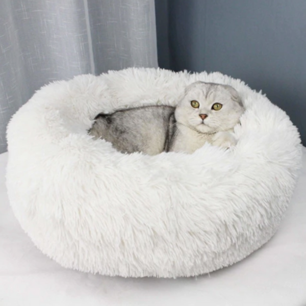 De Originele Gezellige Kattenmandâ˘