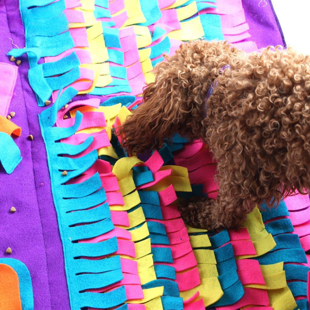 SniffQuest - Interactieve Snuffelmat Hond