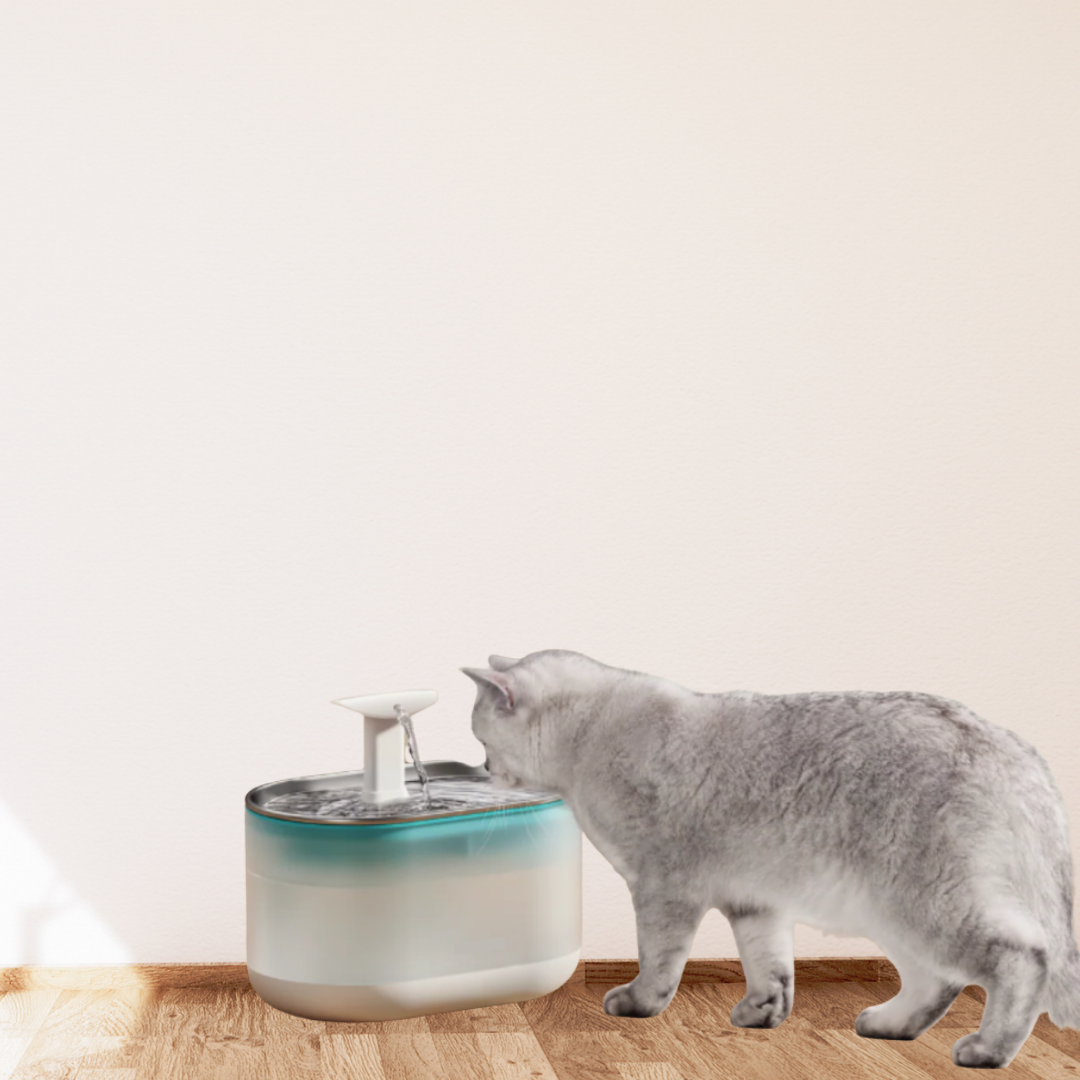 AquaFlow - Bescherm je kat tegen gevaarlijke bacteriën!