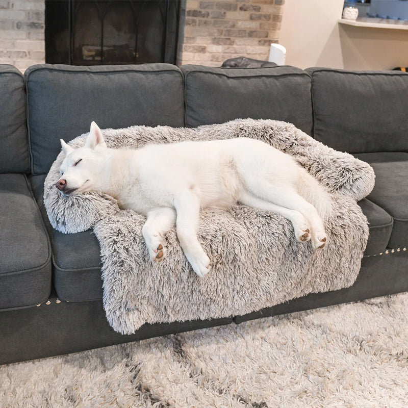 Luna | Grootte Meubelbeschermer en Hondenmand