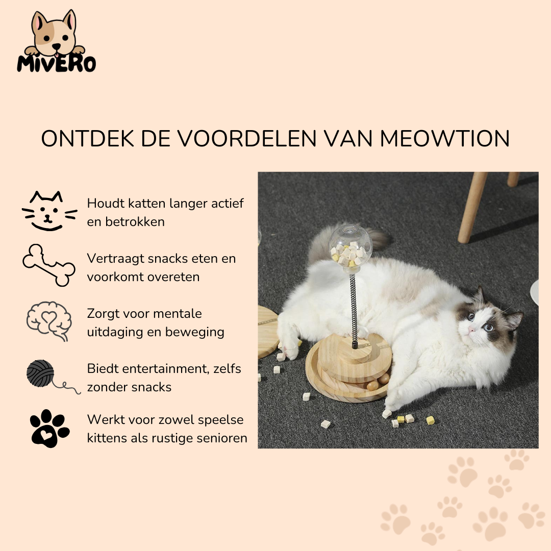 Meowtion - Houdt katten speels en nieuwsgierig