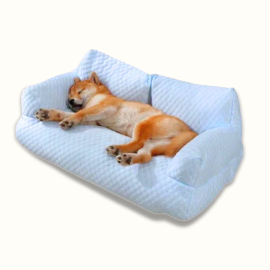 ChillyPaws - Het verkoelende hondenbed!