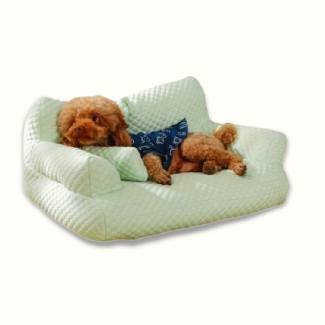 ChillyPaws - Het verkoelende hondenbed!