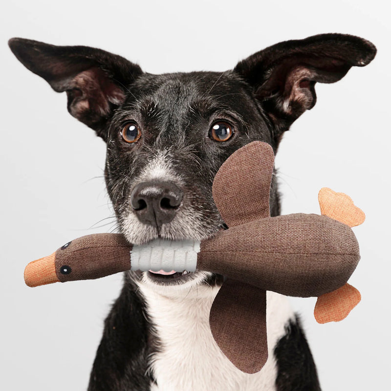 Ultiem Duurzaam Kauwspeelgoed voor Honden