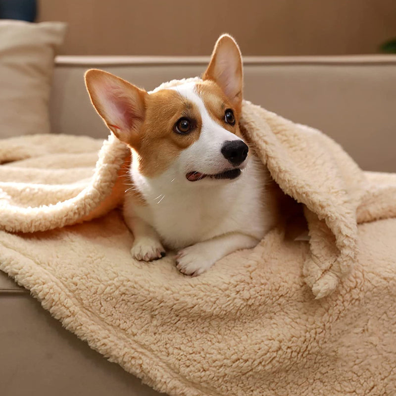 UltraZachte Pluche Fleece Honden Deken