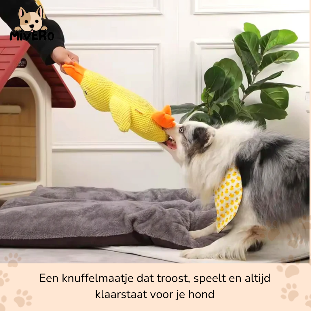 QuackMate - Quakkend Pluche Hondenspeeltje