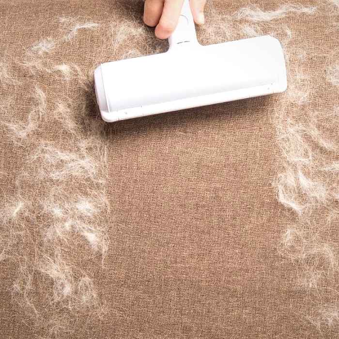Huisdierenhaarverwijderaar - Gemakkelijk schoonmaken met EZ Clean™
