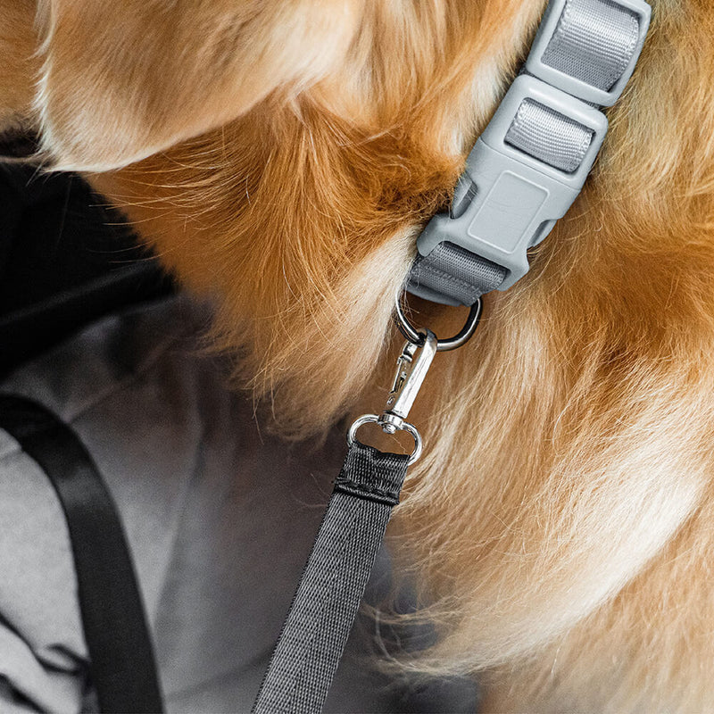 Pluche Comfort Hond Carrièrebak Groot