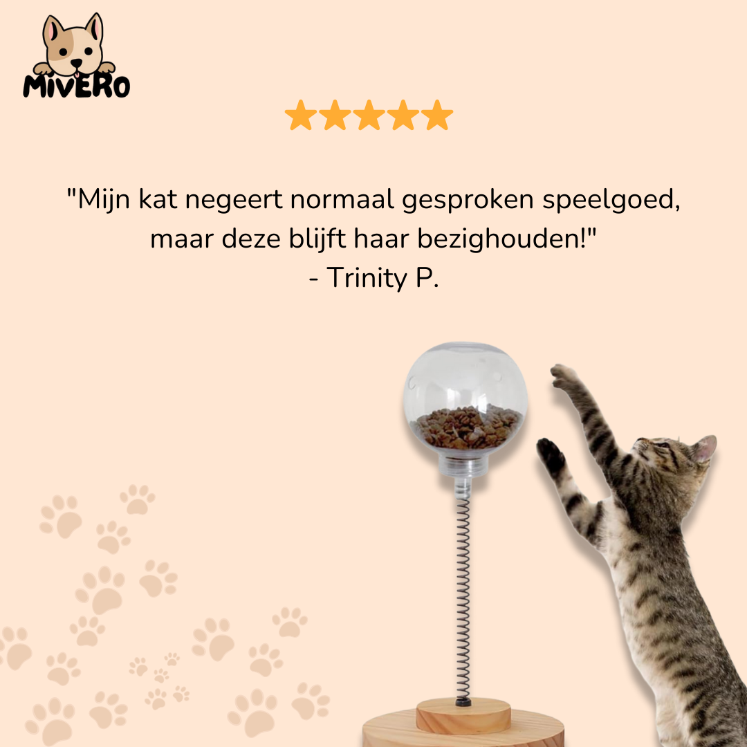 Meowtion - Houdt katten speels en nieuwsgierig