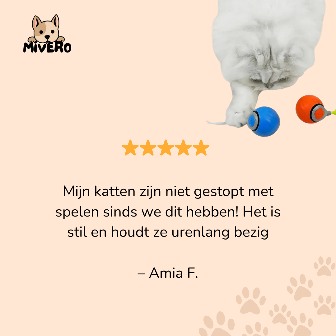 Zoomball 2.0 - Houdt katten actief en speels