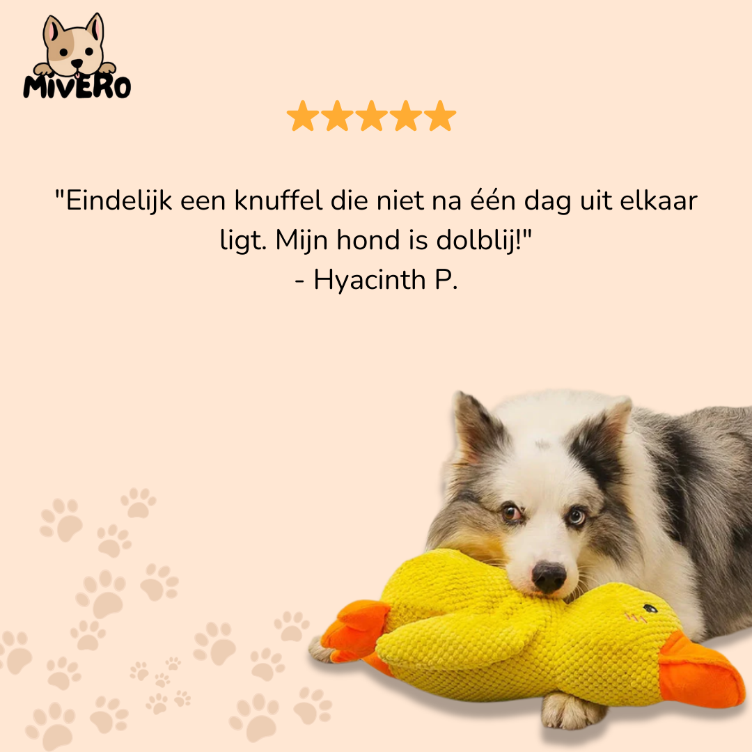 QuackMate - Quakkend Pluche Hondenspeeltje