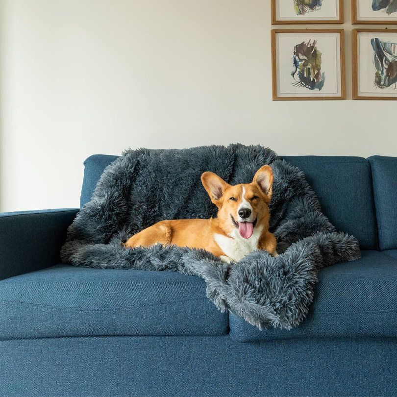 Buddy | Kalmerende Deken