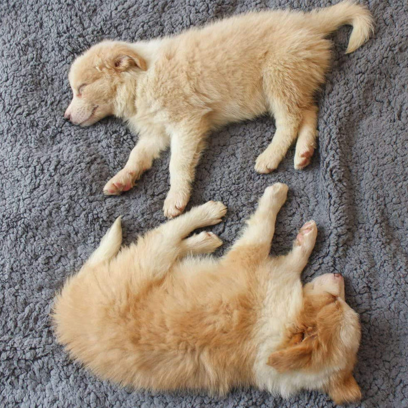 UltraZachte Pluche Fleece Honden Deken