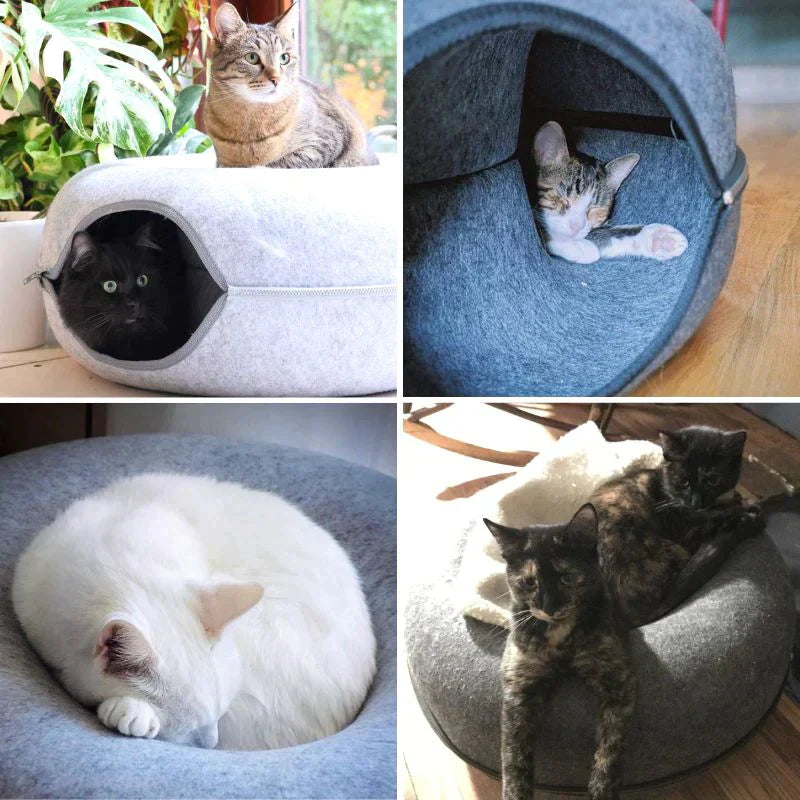 Maya | Katten bed & speelhuis