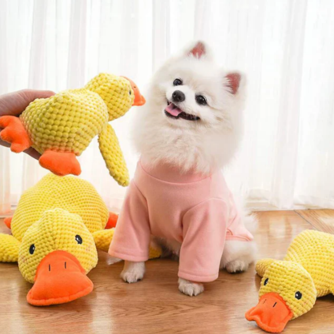 QuackMate - Quakkend Pluche Hondenspeeltje