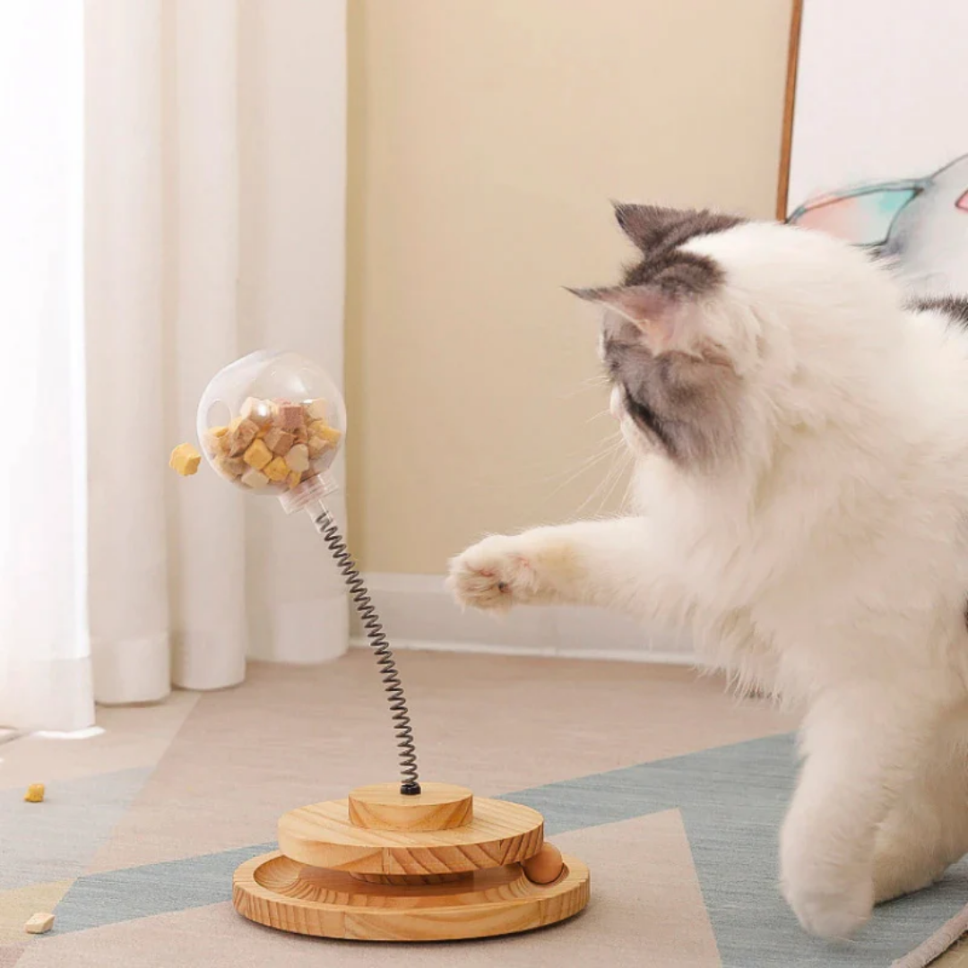 Meowtion - Houdt katten speels en nieuwsgierig