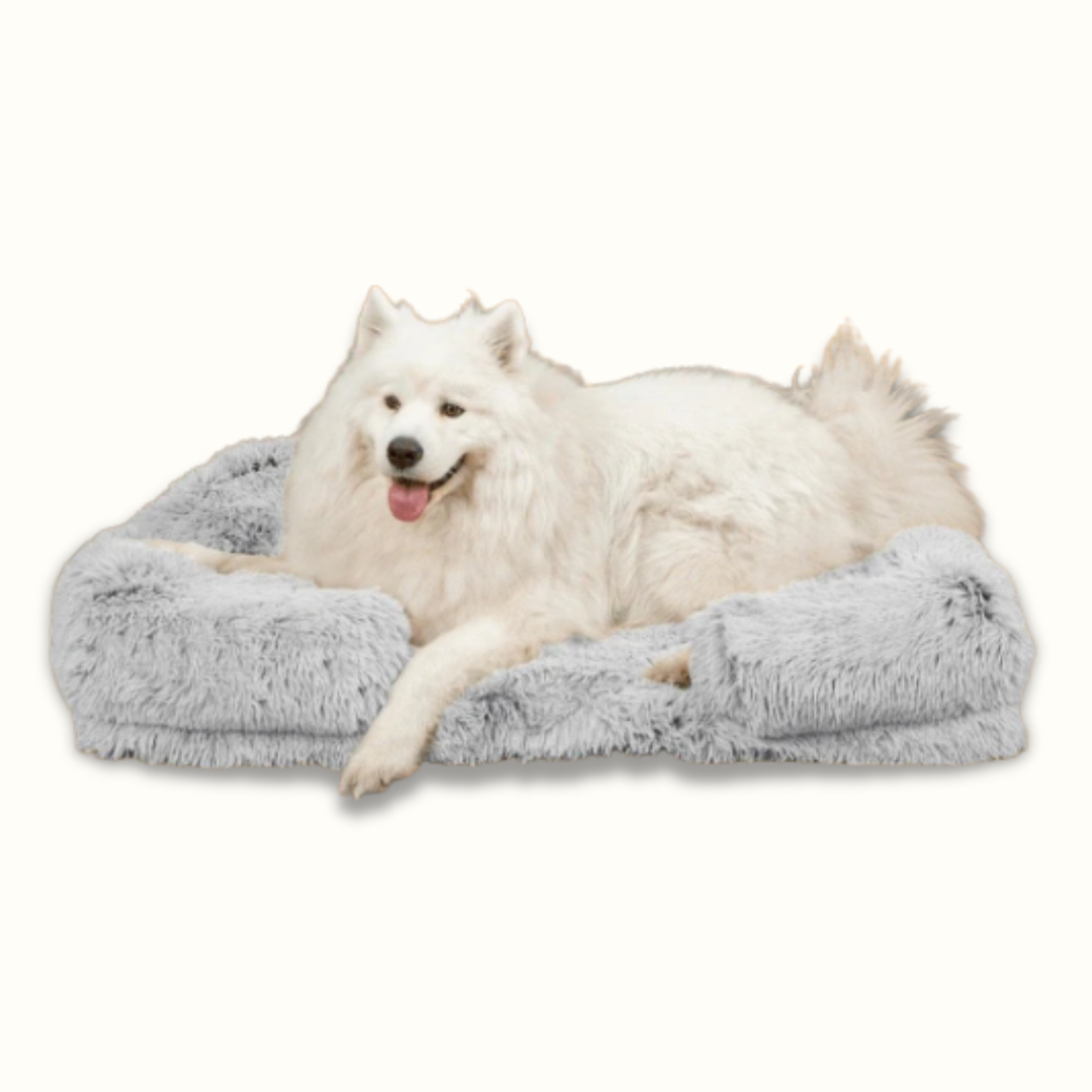 PawPillow - Vermindert Stress en Ondersteunt Spieren