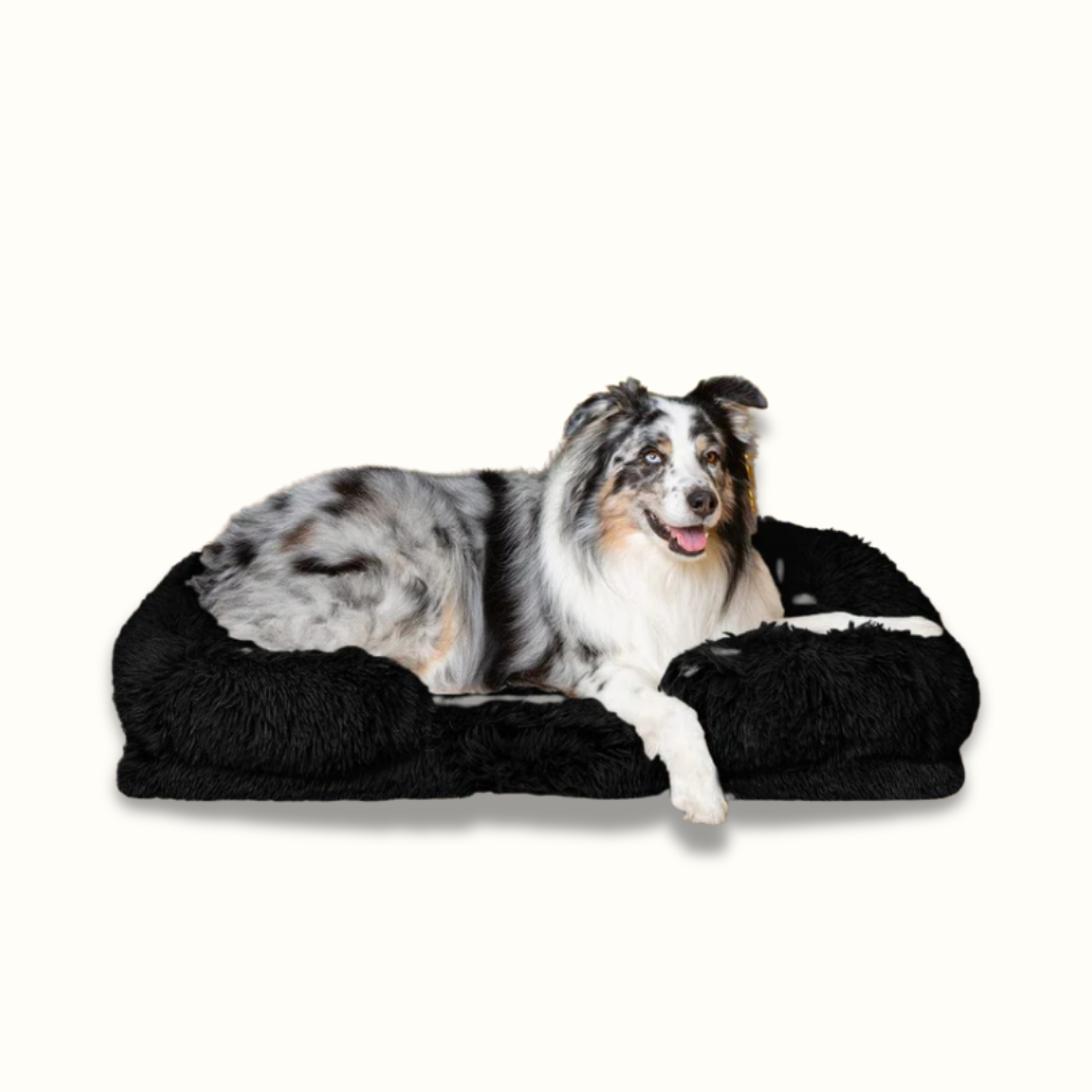 PawPillow - Vermindert Stress en Ondersteunt Spieren