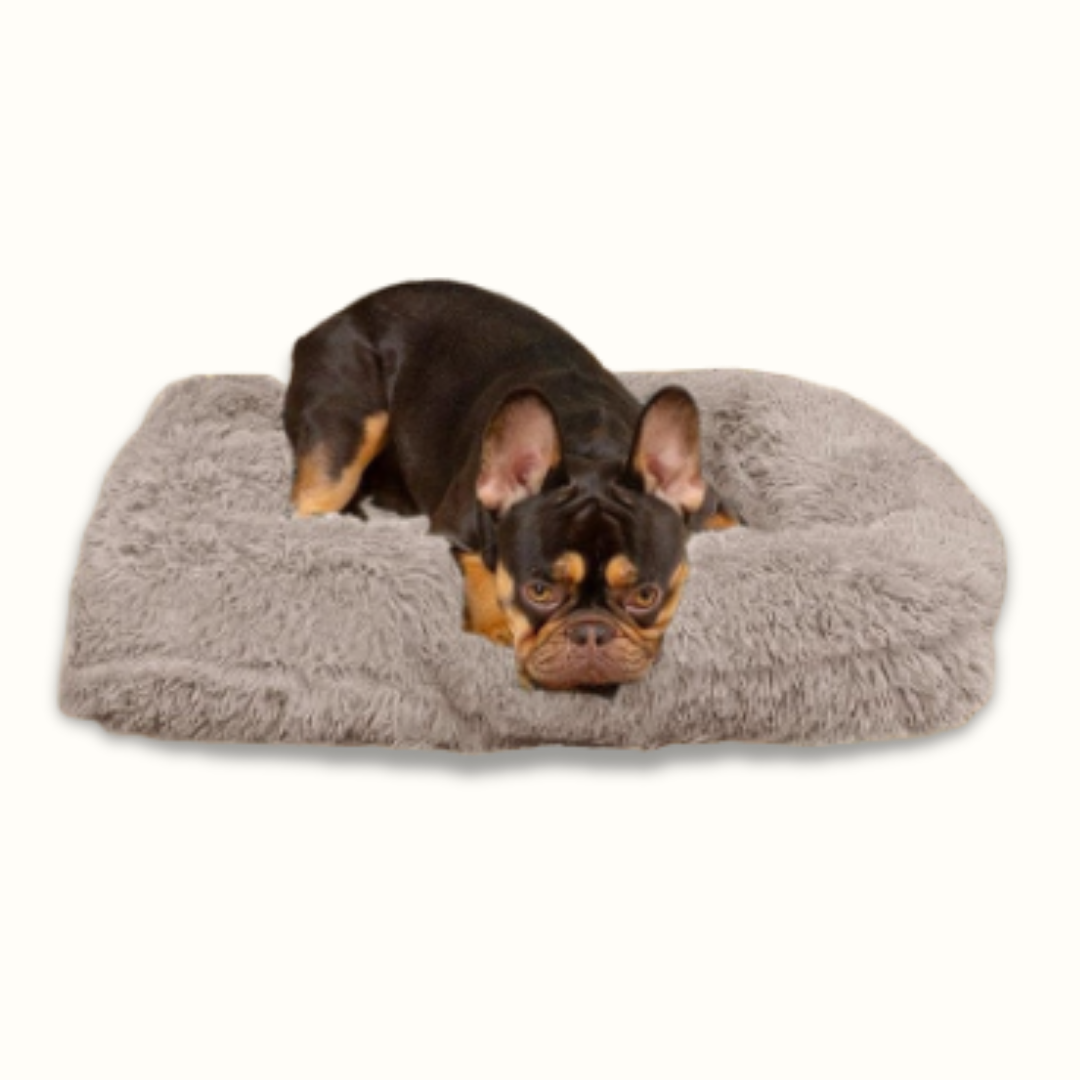 PawPillow - Vermindert Stress en Ondersteunt Spieren