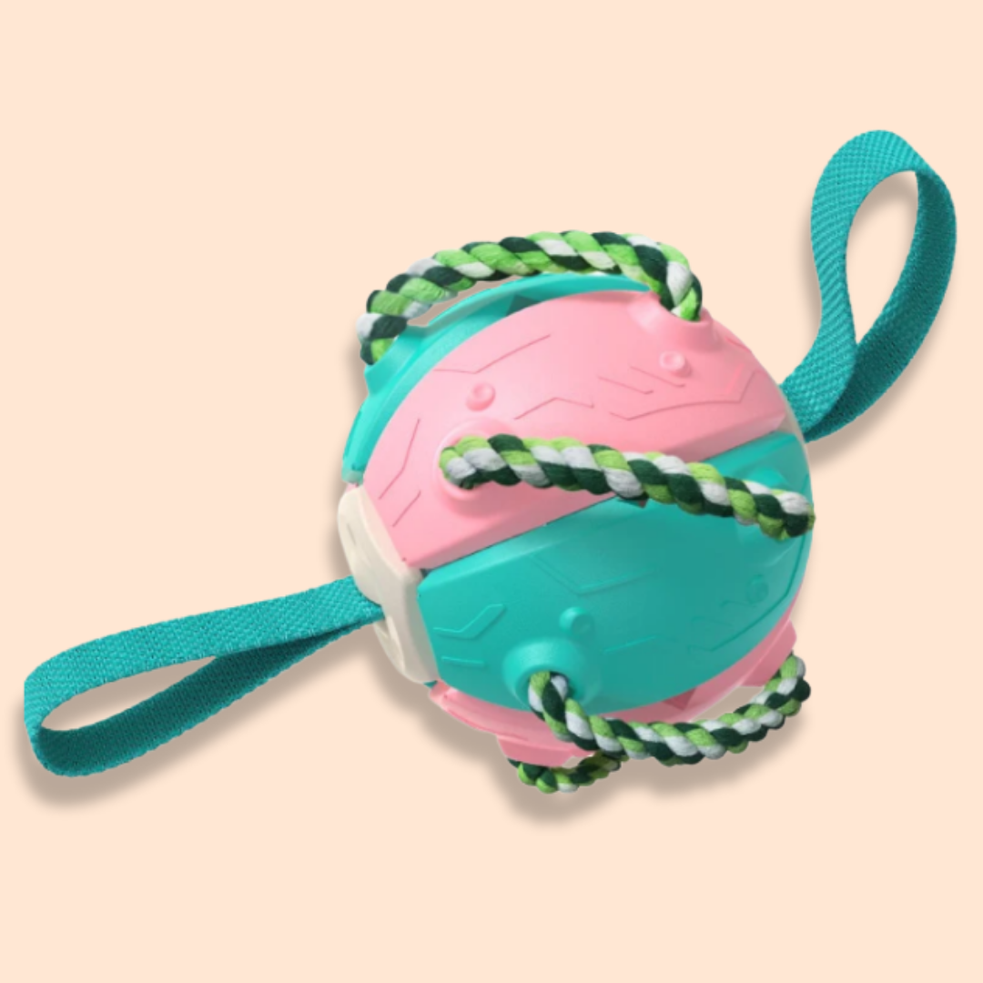 TugBall - Interactieve Tugbal Hond