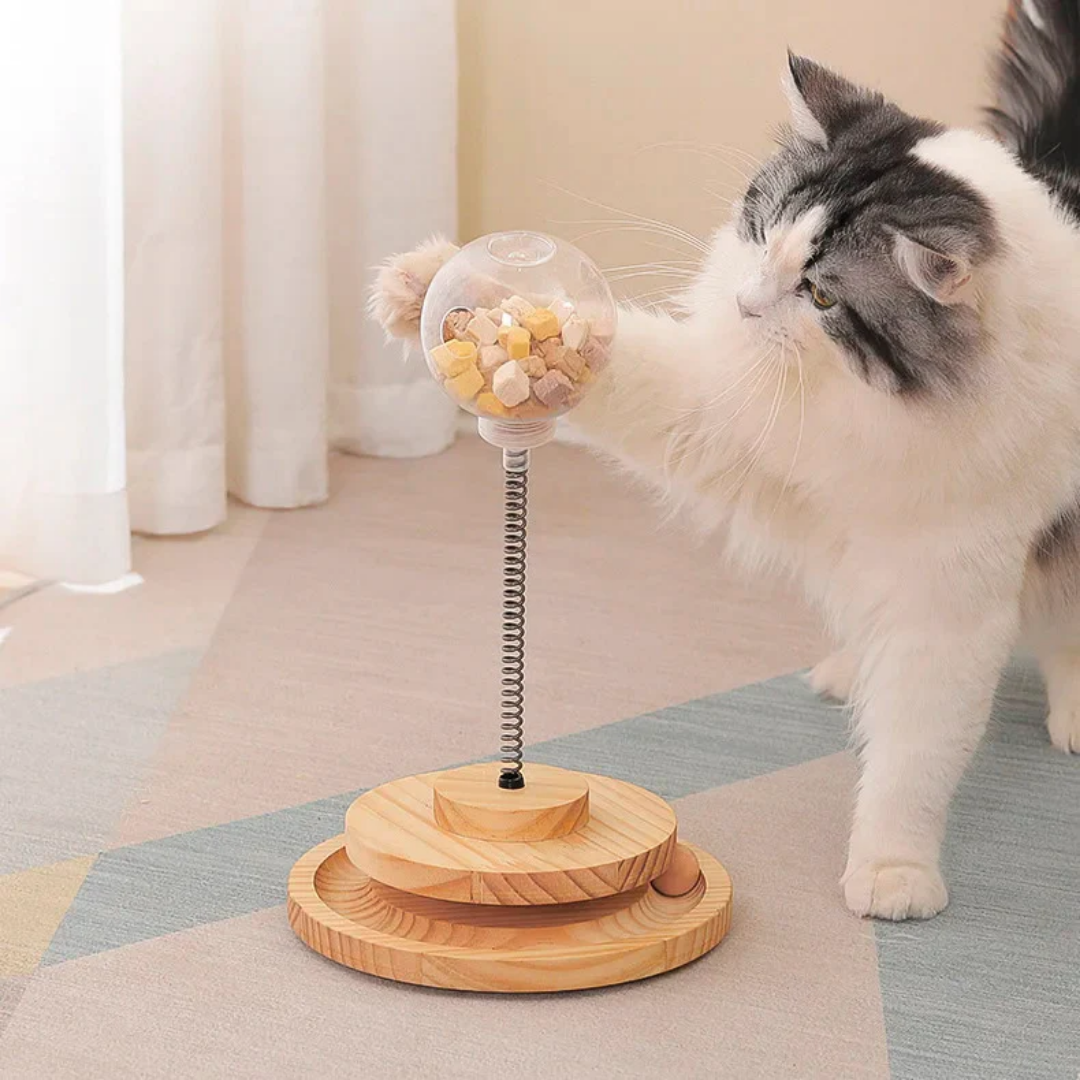 Meowtion - Houdt katten speels en nieuwsgierig