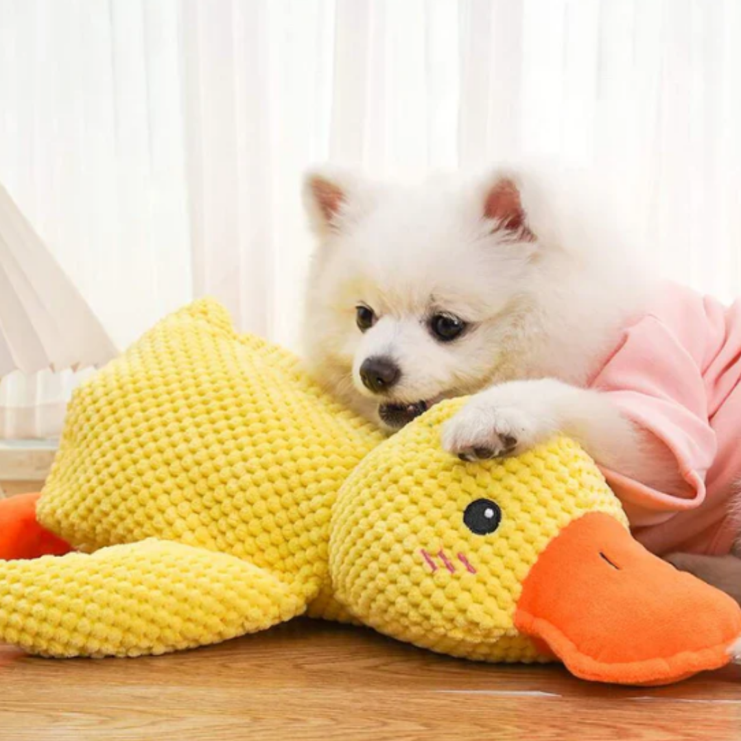 QuackMate - Quakkend Pluche Hondenspeeltje