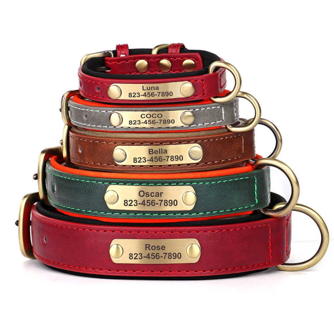 PawID - Gegraveerde Leren Hondenhalsband