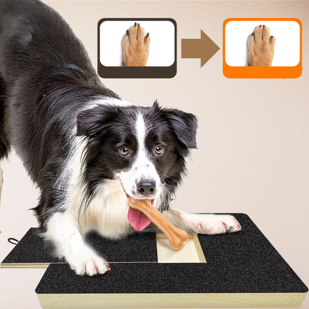 PawShaper - Maak van nagelknippen een spel!