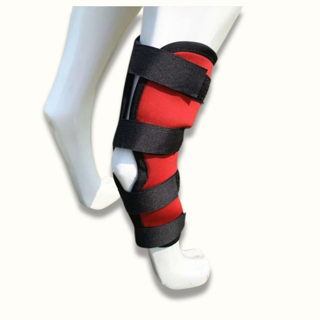 PawBrace - Orthopedische Honden Pootbrace
