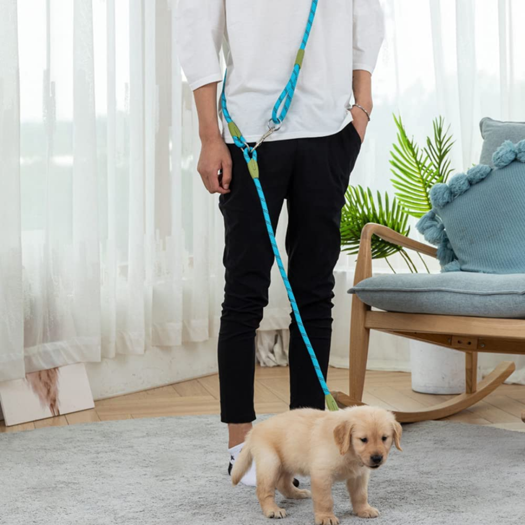 LeashLink - Handsfree Verstelbare Hondenriem