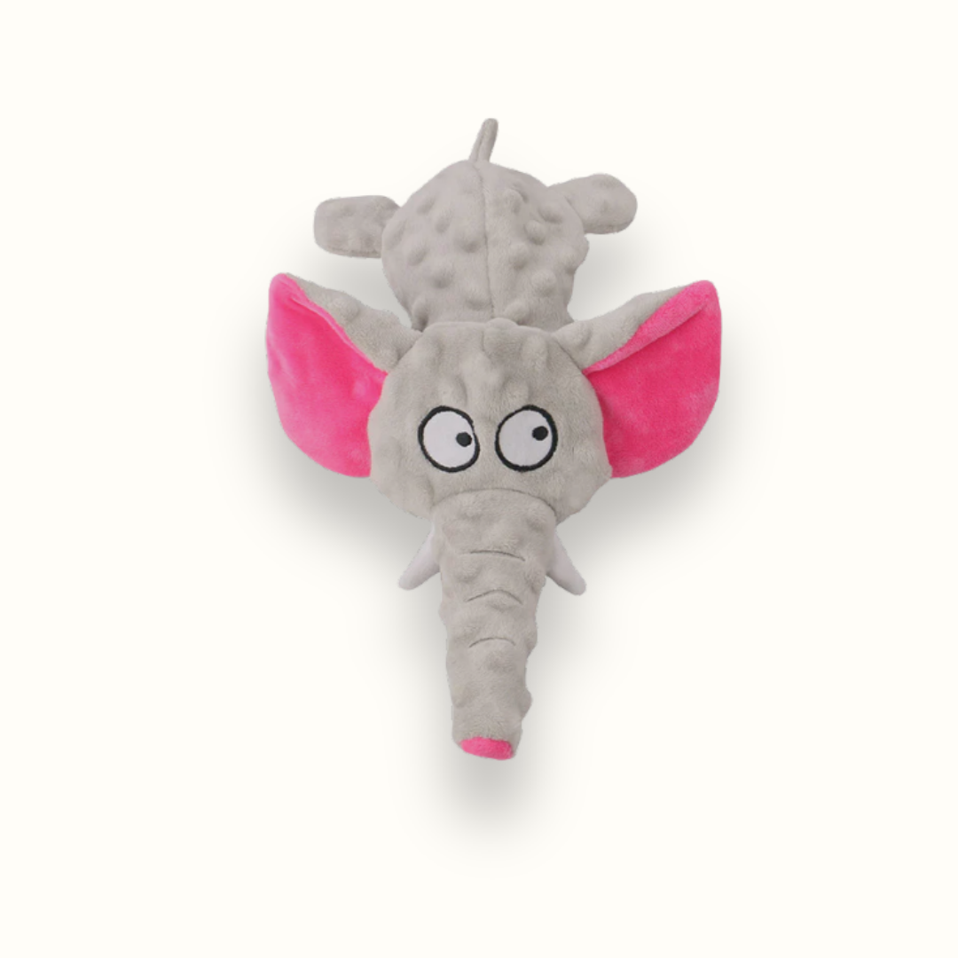 ChewBuddy - Kauwbestendig Knuffelspeeltje Hond