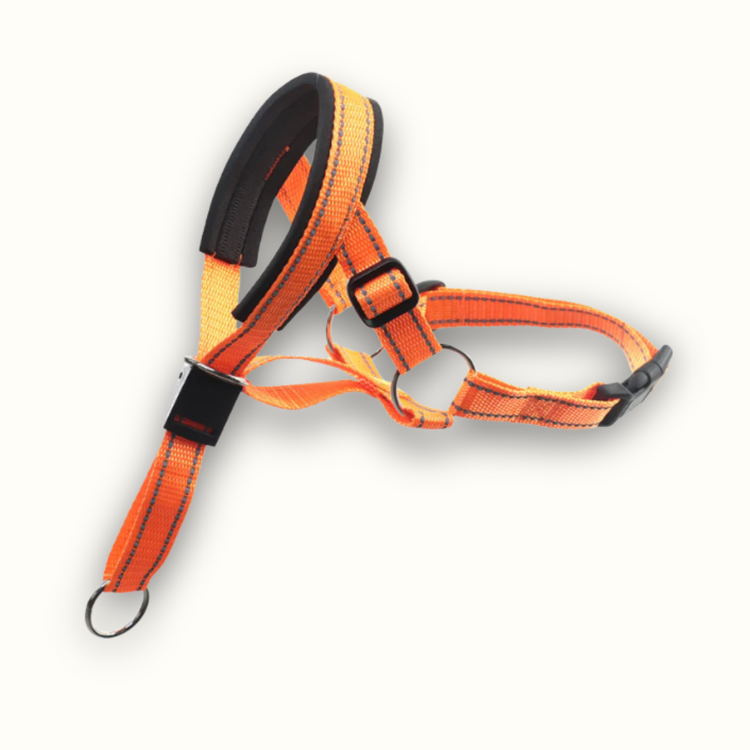 PullEase - Padded Anti-Trek Hoofdharnas