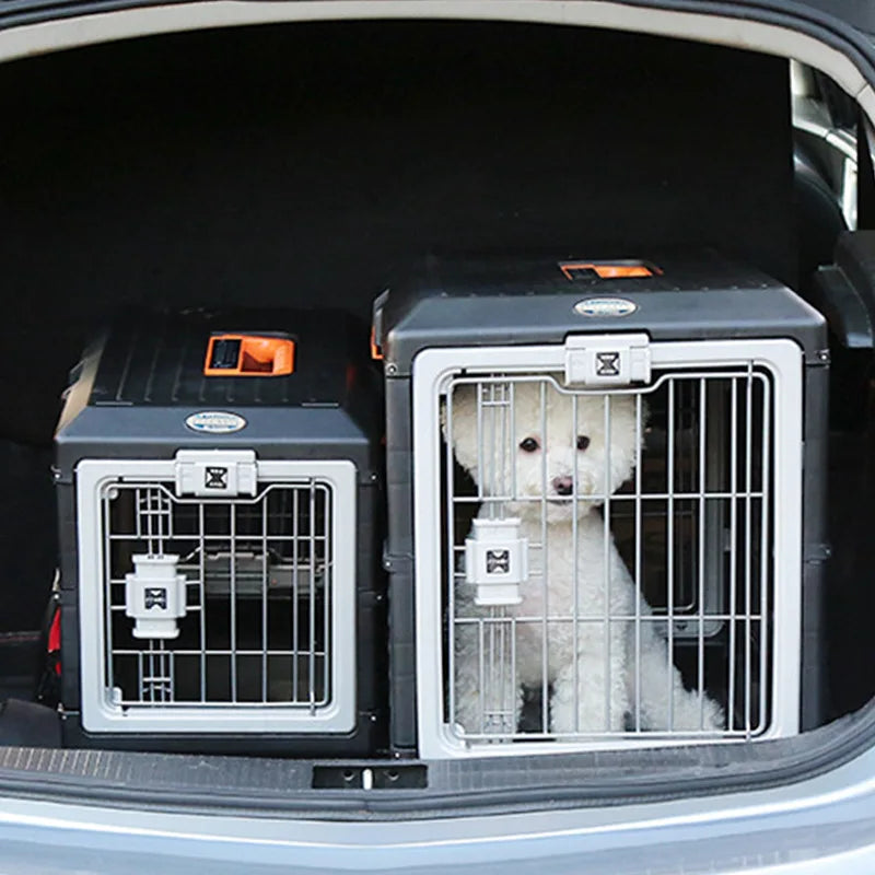 Kees | Reismand voor honden en katten